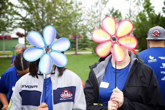 Alz15 074 - Version 2
