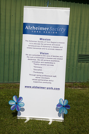Alz16 249