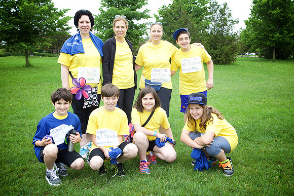 Alz15 101 - Version 2