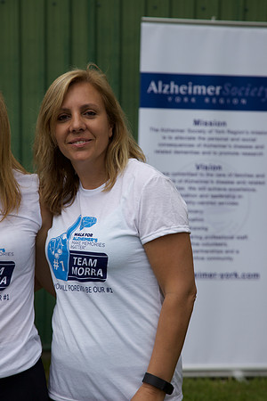 Alz16 480