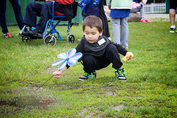 Alz15 096 - Version 2