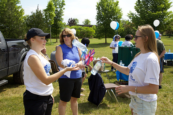Alz16 433