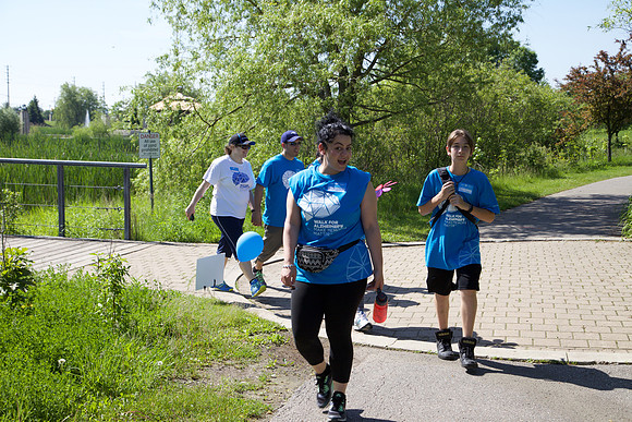 Alz17R 201
