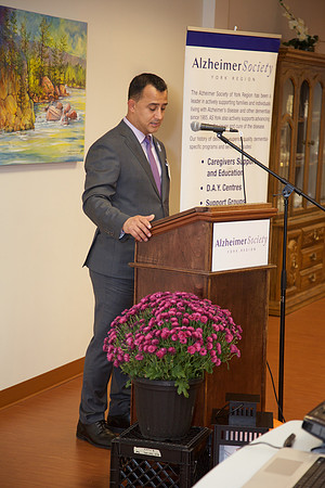 Alz19DA  068 - Version 2
