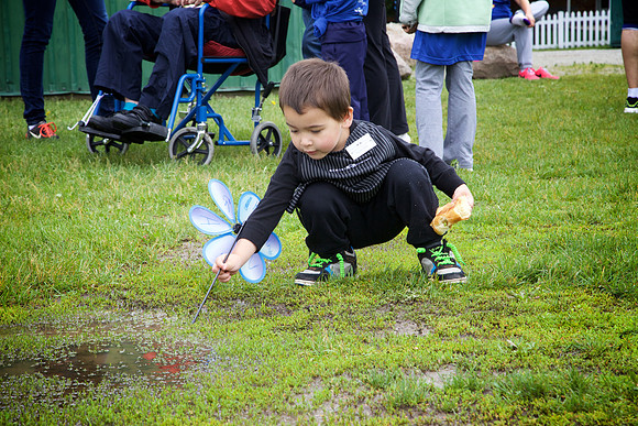 Alz15 097 - Version 2