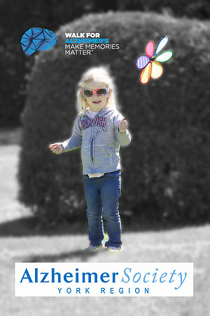 Alz17B 325 - Version 2
